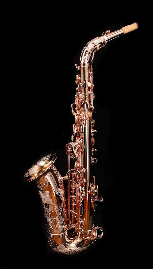 Alto-Saxophon in Eb, YANAGISAWA, WO-Serie, AWO37PG-Vollsilber-rosevergoldet-3.jpg