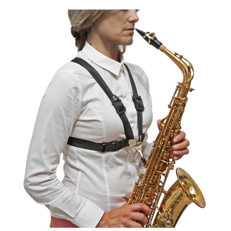 Mod. Harness, Grösse Lady L.png