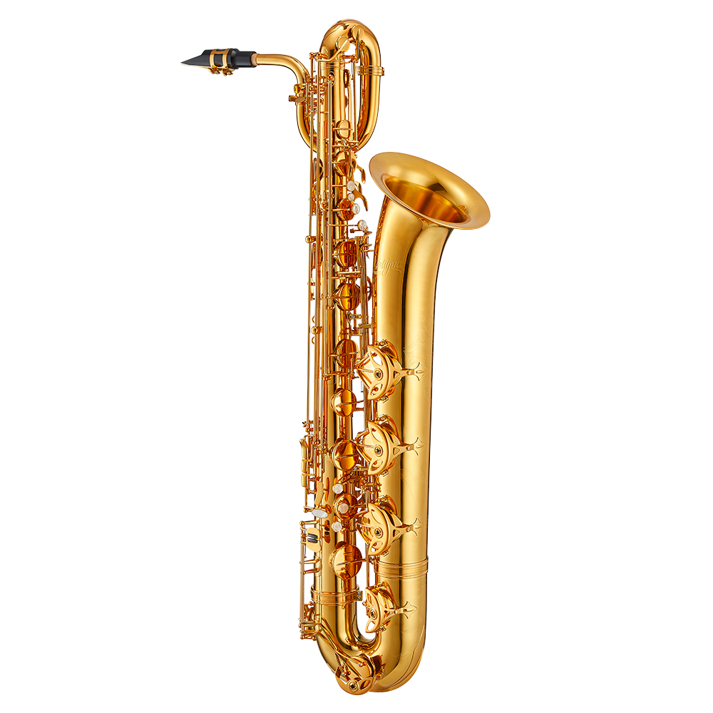 BS6200VLQ-1.png