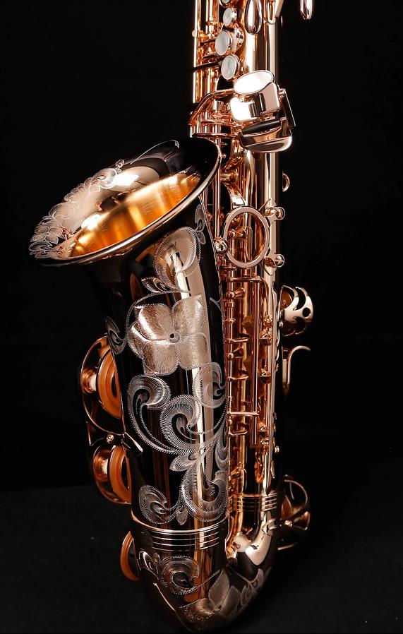 Alto-Saxophon in Eb, YANAGISAWA, WO-Serie, AWO37PG-Vollsilber-rosevergoldet-8.jpg