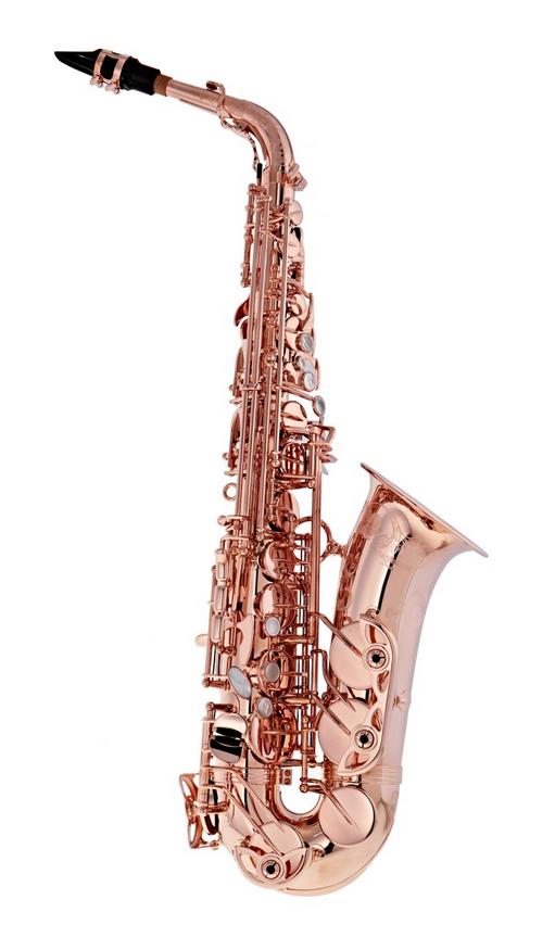 Alto-Saxophon in Eb, YANAGISAWA, WO-Serie, AWO20PG.jpg