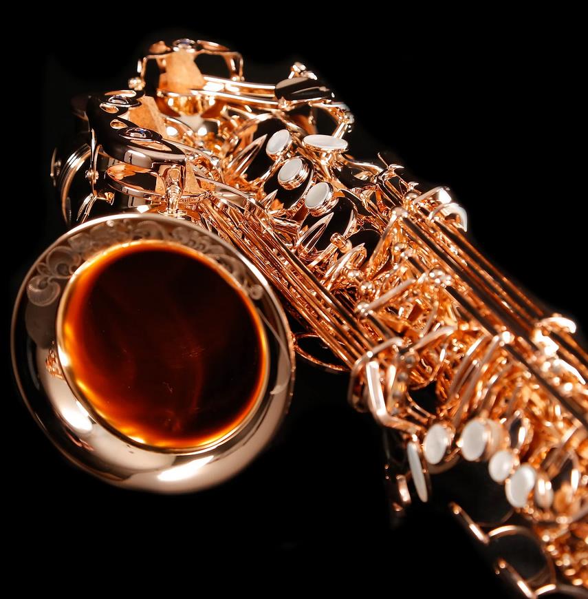 Alto-Saxophon in Eb, YANAGISAWA, WO-Serie, AWO37PG-Vollsilber-rosevergoldet-10.jpg