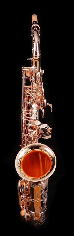 Alto-Saxophon in Eb, YANAGISAWA, WO-Serie, AWO37PG-Vollsilber-rosevergoldet-2.jpg