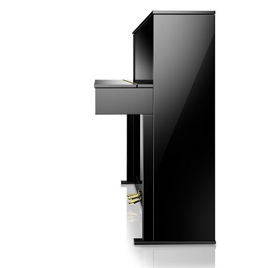 csm_210416_WHoffmann-V2-Detail-Seite-frontal-black-pol_f3615d9faf.jpg