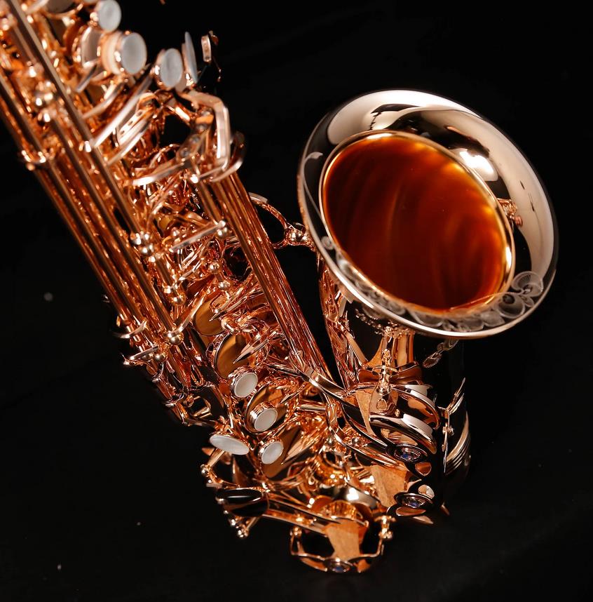 Alto-Saxophon in Eb, YANAGISAWA, WO-Serie, AWO37PG-Vollsilber-rosevergoldet-11.jpg