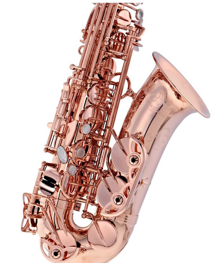 Alto-Saxophon in Eb, YANAGISAWA, WO-Serie, AWO20PG-1.jpg