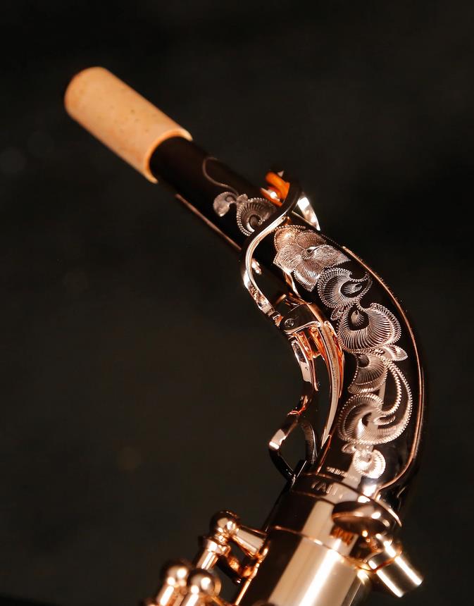 Alto-Saxophon in Eb, YANAGISAWA, WO-Serie, AWO37PG-Vollsilber-rosevergoldet-5.jpg