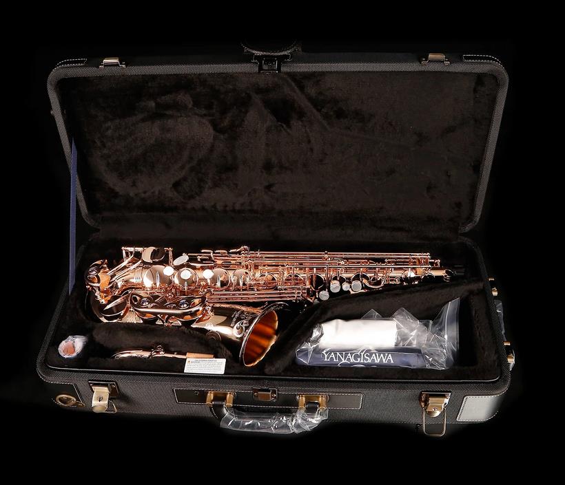 Alto-Saxophon in Eb, YANAGISAWA, WO-Serie, AWO37PG-Vollsilber-rosevergoldet-14.jpg