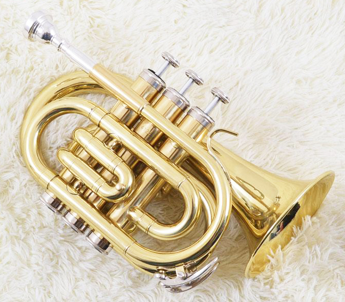 Taschentrompete-/Cornet in Bb
