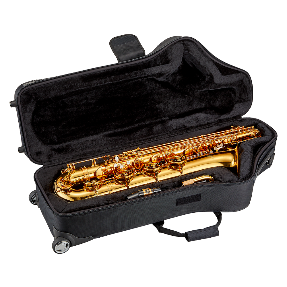 BS6200VLQ-case.png
