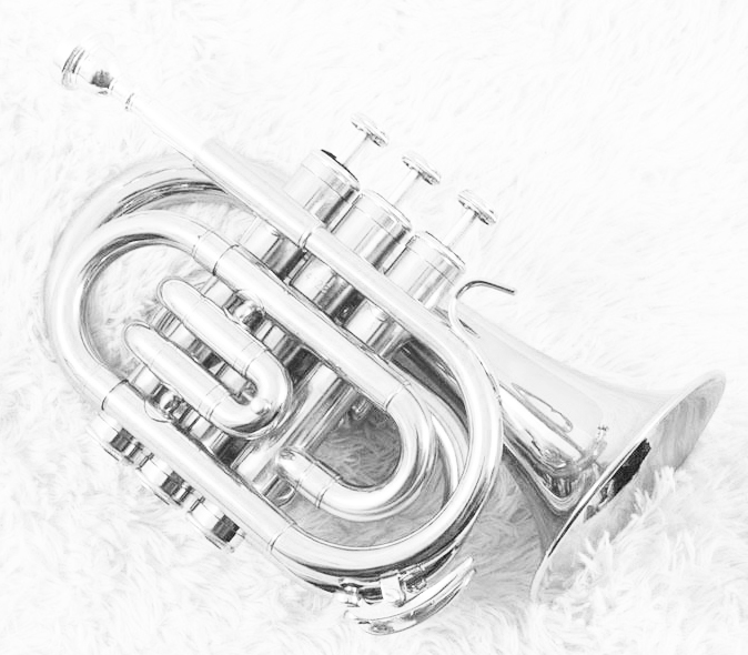 Pocket Trumpet in Bb-flat, VICTORY by WALTER GRIMM, JBMT-500S.jpg