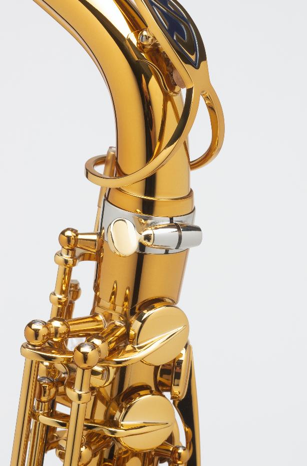 Alto-Saxophon-SELMER-Supreme9A.jpg