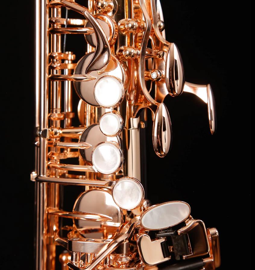 Alto-Saxophon in Eb, YANAGISAWA, WO-Serie, AWO37PG-Vollsilber-rosevergoldet-7.jpg