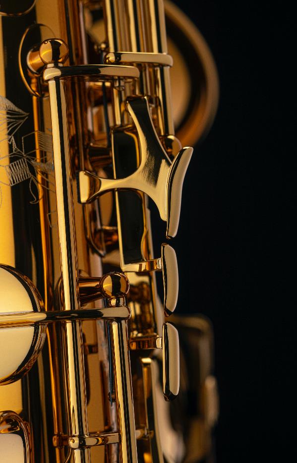 Alto-Saxophon-SELMER-Supreme3A.jpg