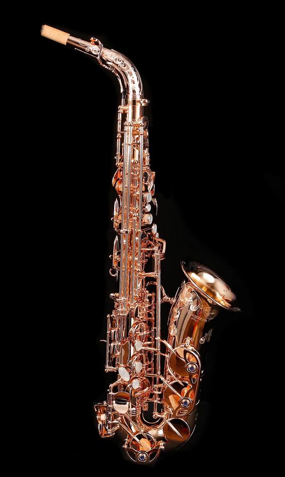 Alto-Saxophon in Eb, YANAGISAWA, WO-Serie, AWO37PG-Vollsilber-rosevergoldet-1.jp