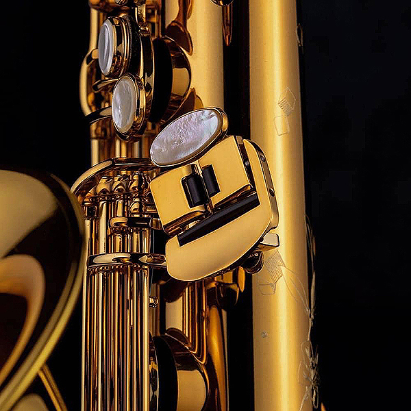 Tenor-Saxophon in Bb, SELMER, SUPREME-4.jpg