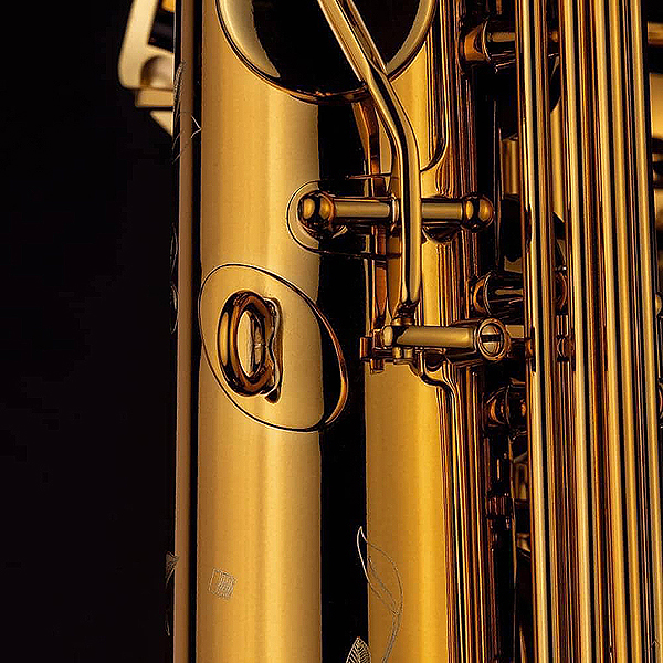 Tenor-Saxophon in Bb, SELMER, SUPREME-5.jpg