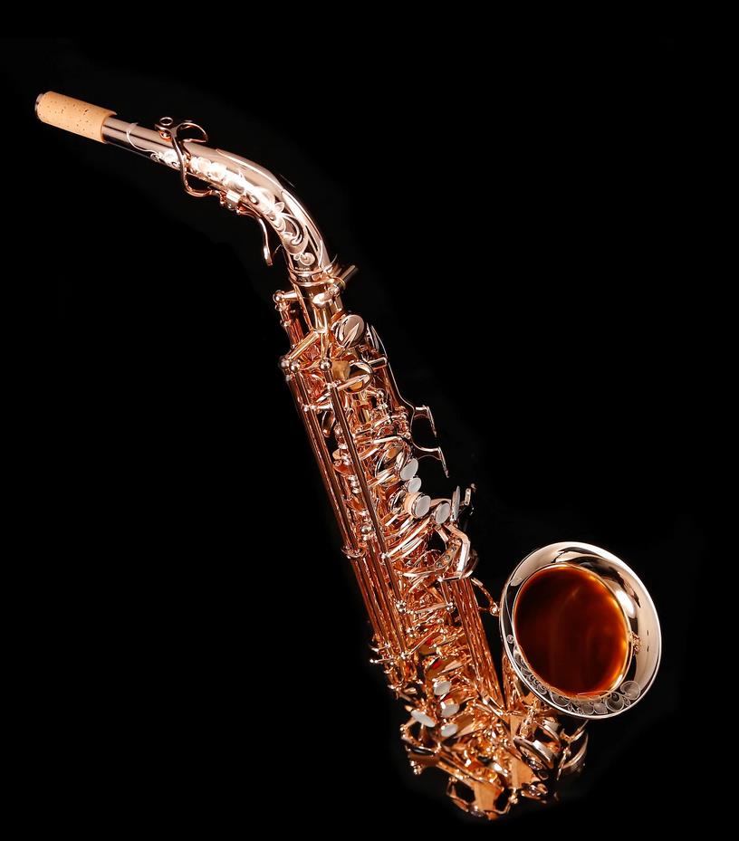Alto-Saxophon in Eb, YANAGISAWA, WO-Serie, AWO37PG-Vollsilber-rosevergoldet-4.jpg